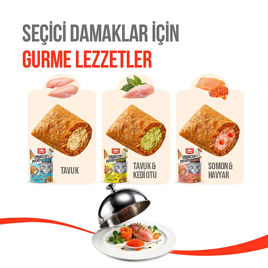 wanpy-kedi-crunch-odul-tavuk-60g-10lu-oduller-wanpy-30978-27-B.webp