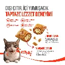 wanpy-kedi-crunch-odul-tavuk-60g-10lu-oduller-wanpy-30976-27-B.webp