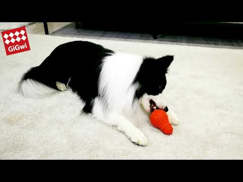 youtube - [Video]