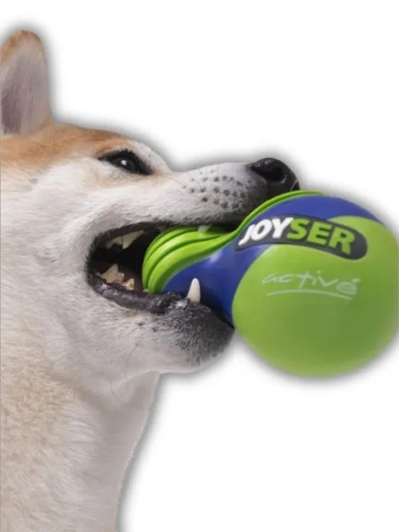 joyser-jys-7167-active-duo-ball-kaucuk-kopek-oyuncak-top-yesil-lacivert-oyuncaklar-joyser-23416-20-O.webp