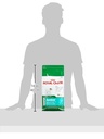 Royal Canin Mini Puppy