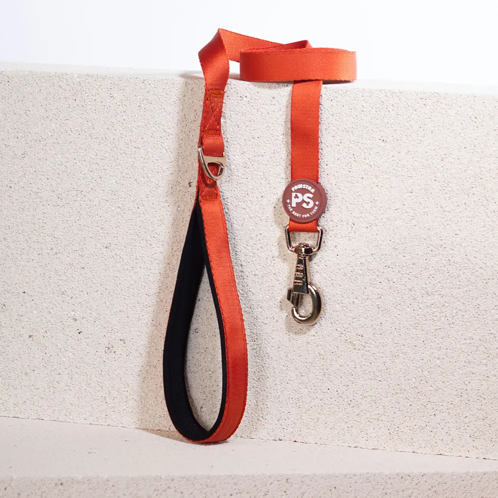 PawStar Kiremit Sevk Kayışı