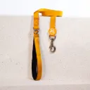 PawStar Gold Sevk Kayışı