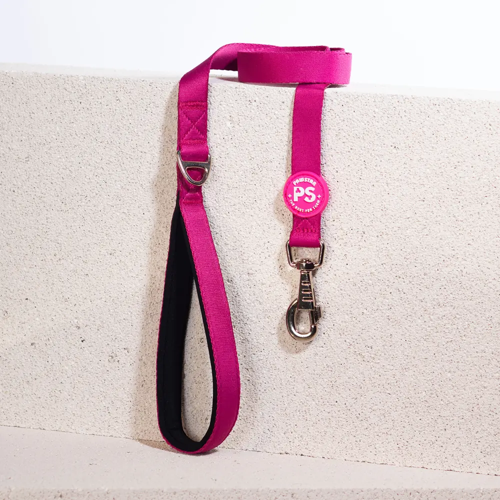 PawStar Fuşya Sevk Kayışı
