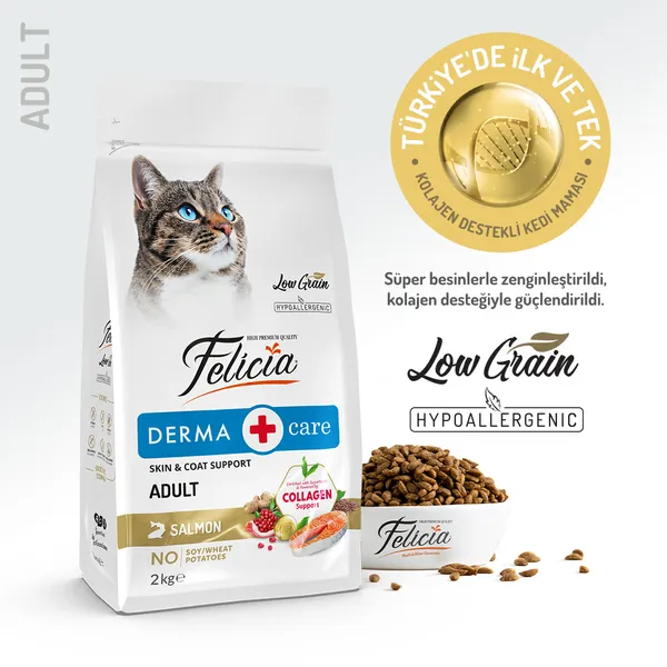 Felicia 2 Kg Kolajenli Somonlu Az Tahıllı Yetişkin Kedi Maması HypoAllergenic Kedi Maması