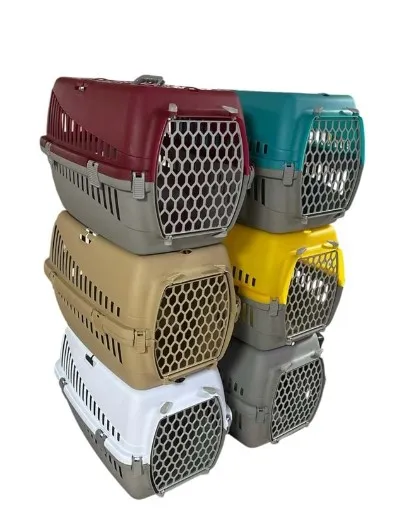 Cans Renkli Orta Boy Box Plastik Taşıma 59x39x37 H