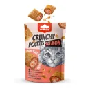 Wanpy Kedi Crunch Ödül Somon & Havyar 60g