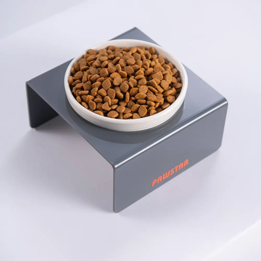 PawStar Antrasit Tekli Pleksi-Seramik Mama ve Su Kabı