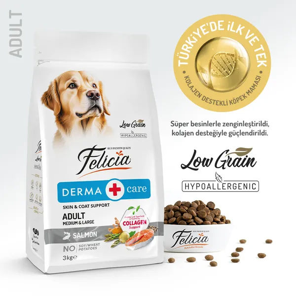 Felicia 3 Kg Kolajenli Somonlu Az Tahıllı M/Large Yetişkin Köpek Maması Breed HypoAllergenic Köpek Maması