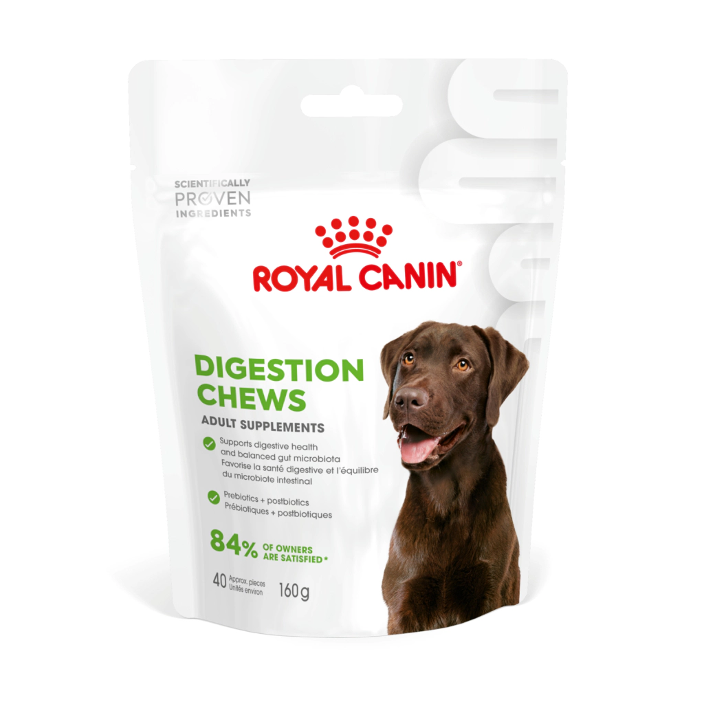 Royal Canin Sindirim Sistemini Destekleyen Tamamlayıcı Yetişkin Köpek Ödül Maması 160gr