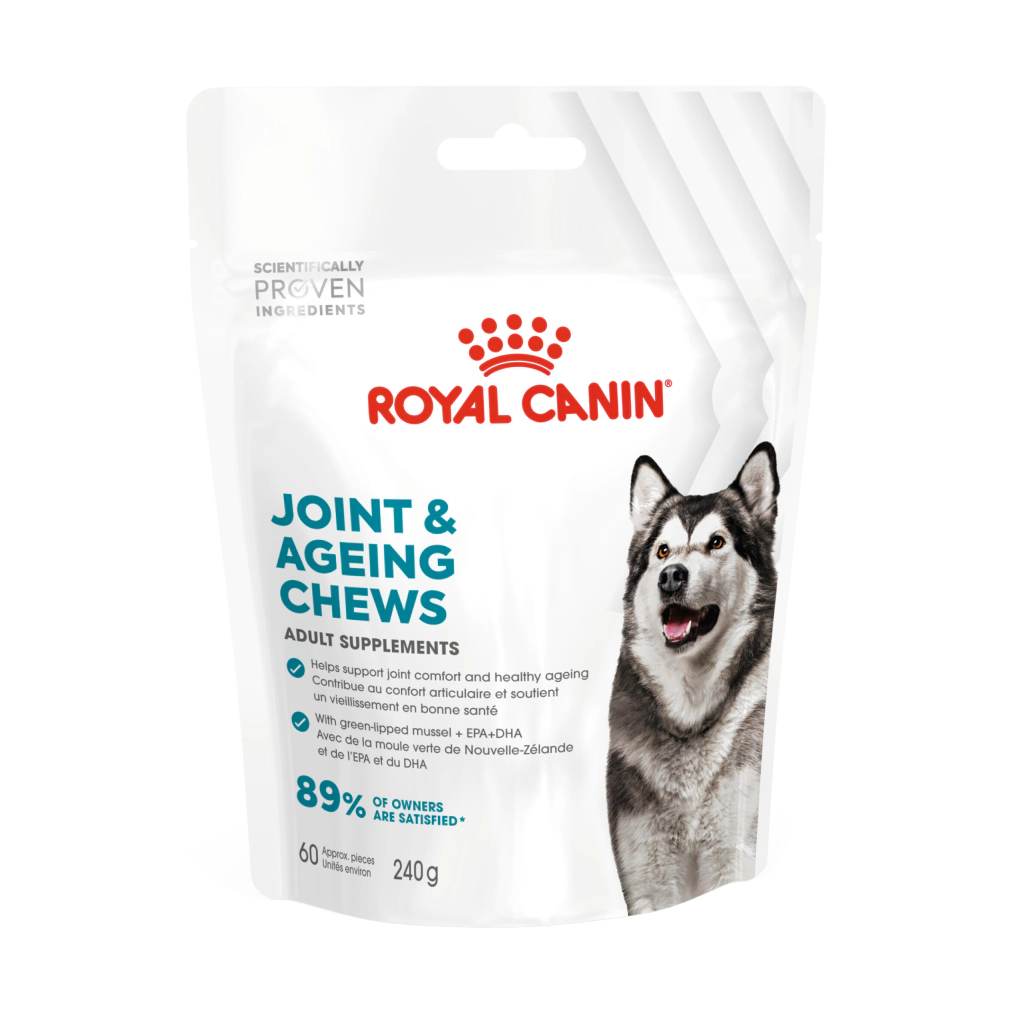 Royal Canin Eklem ve Sağlıklı Yaşlanmayı Destekleyen Tamamlayıcı Yetişkin Köpek Ödül Maması 240gr